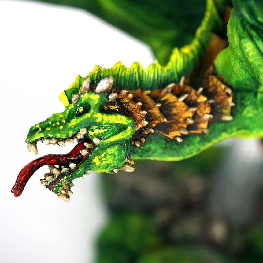 Young Green Dragon