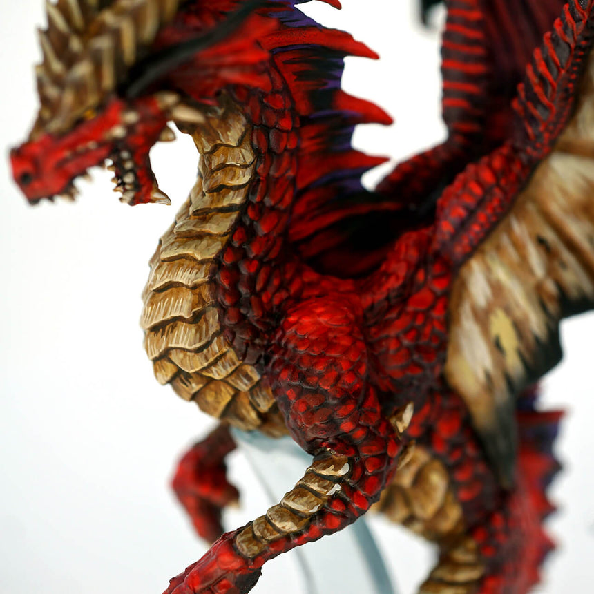 Young Red Dragon