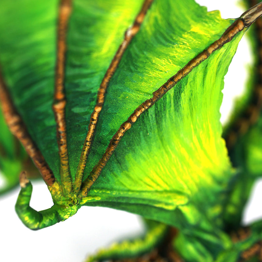 Young Green Dragon