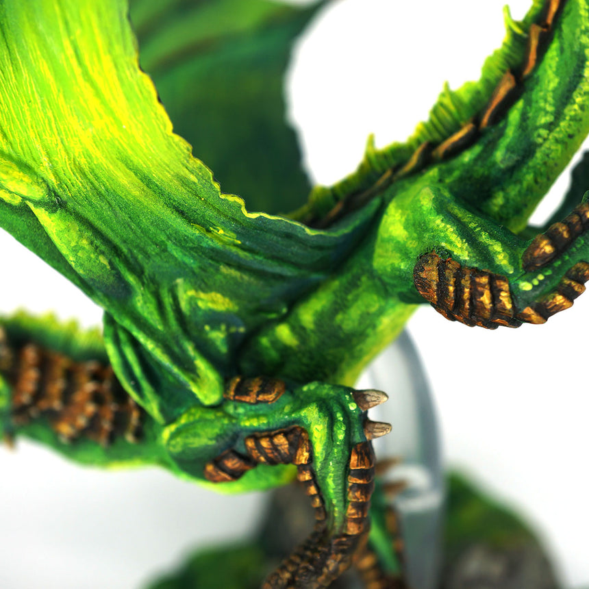 Young Green Dragon