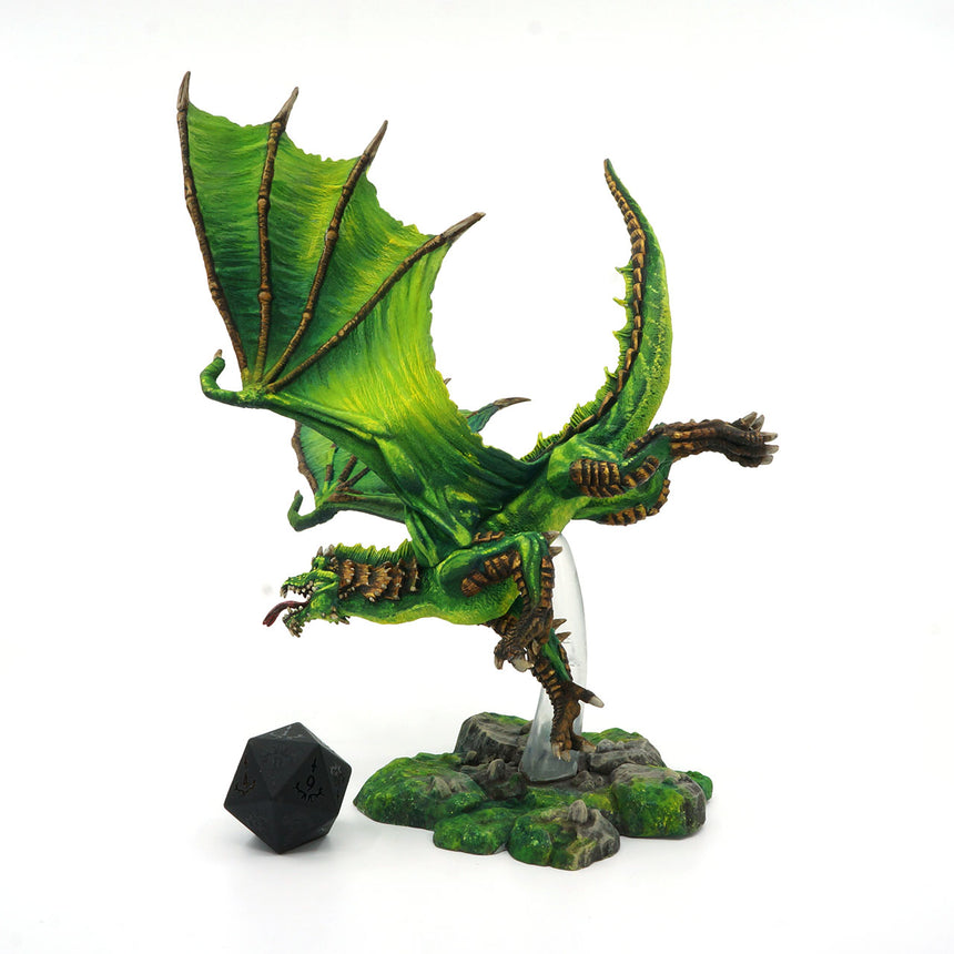 Young Green Dragon
