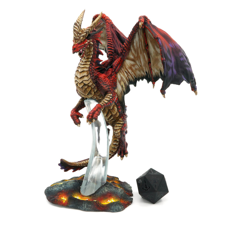Young Red Dragon