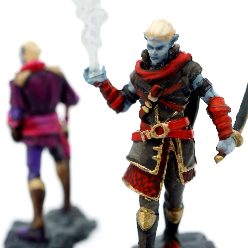 Critical Role: Pallid Elf Rogue & Bard
