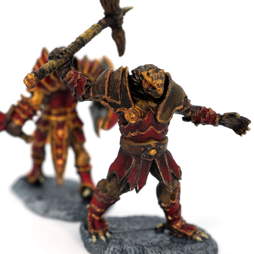 Male Dragonborn Paladin