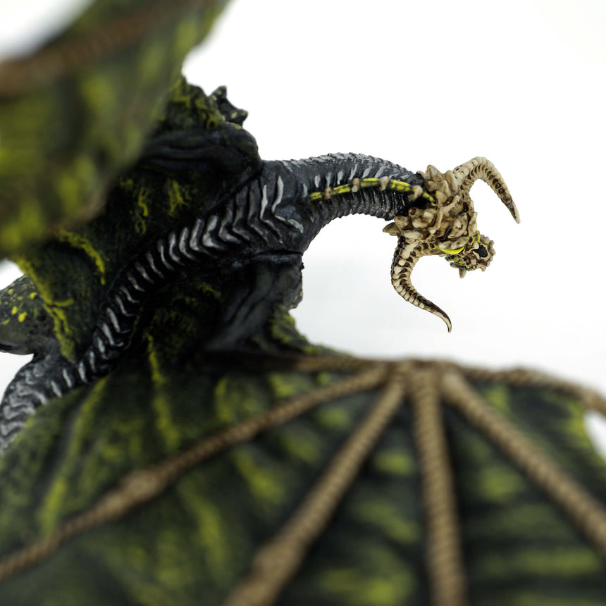 Young Black Dragon