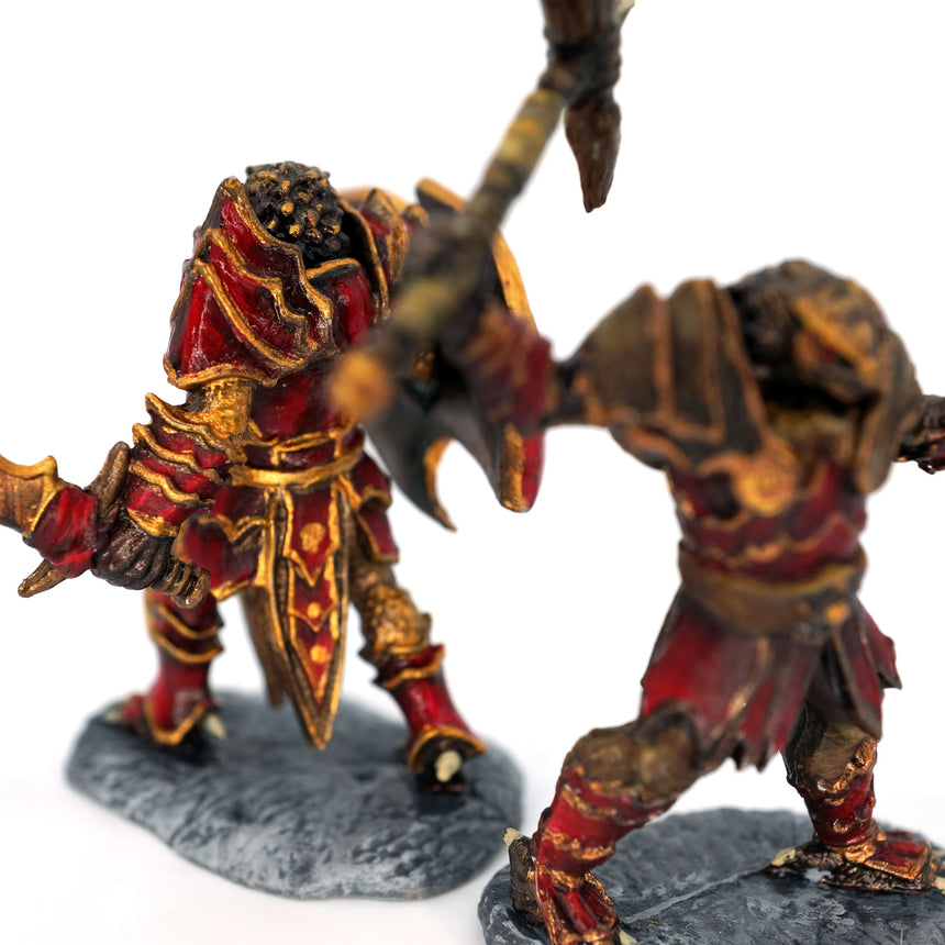 Male Dragonborn Paladin