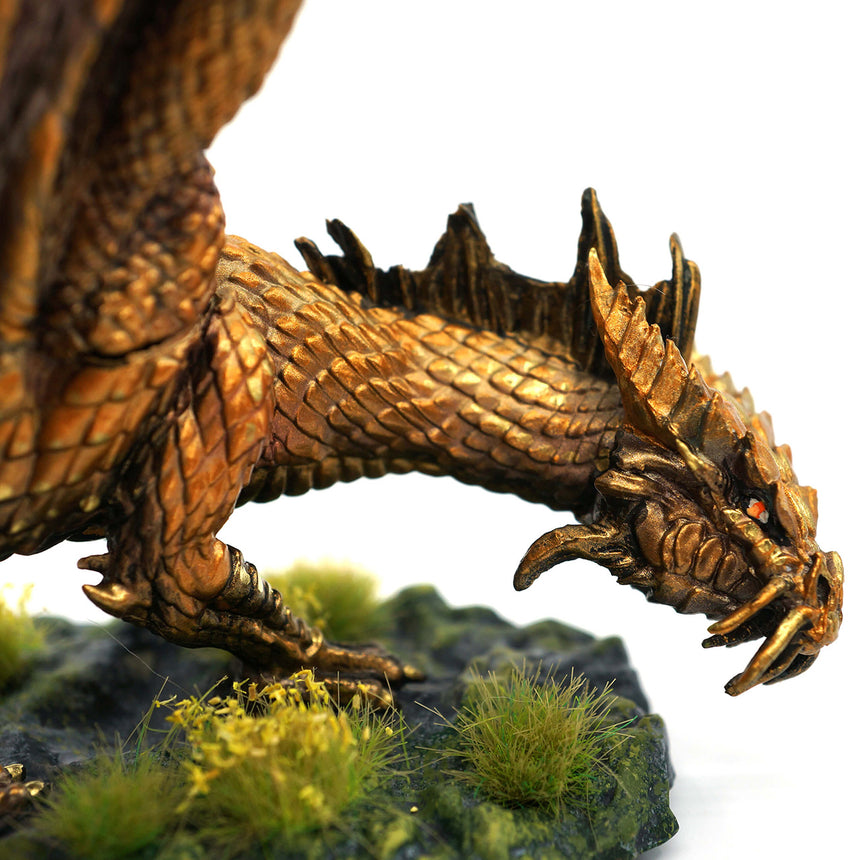 Young Gold Dragon