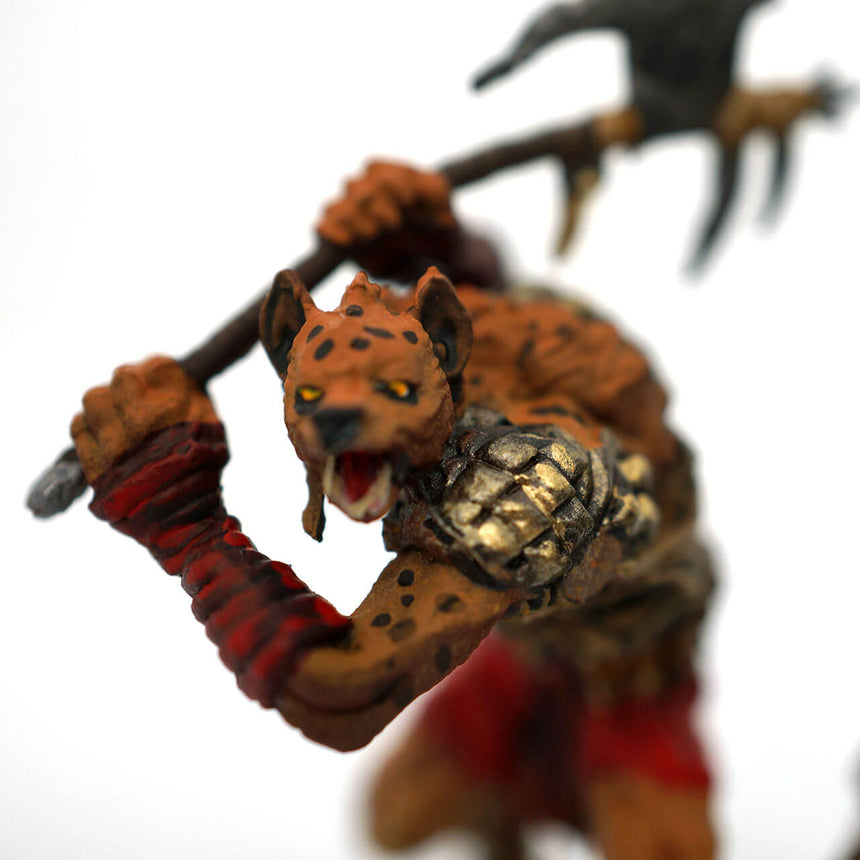 Gnolls